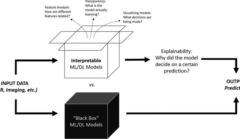 Solving the “Black Box” Problem in High-Stakes Decision Making